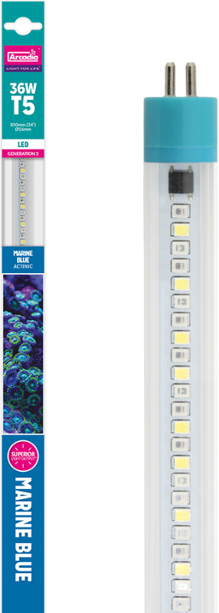 МОРСКОЙ СИНИЙ T5 LED 25000K