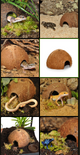 COCONUT CAVE