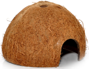 COCONUT CAVE