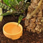 HABISTAT ROUND WATER BOWL