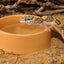 HABISTAT ROUND WATER BOWL