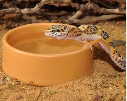 HABISTAT ROUND WATER BOWL