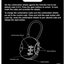 HABISTAT TERRARIUM LOCK