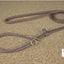 Agility Leash