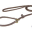 Agility Leash