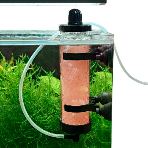 ARTEMIA EASY BREEDER