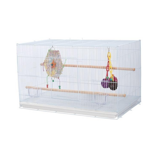 BIRD CAGE 504