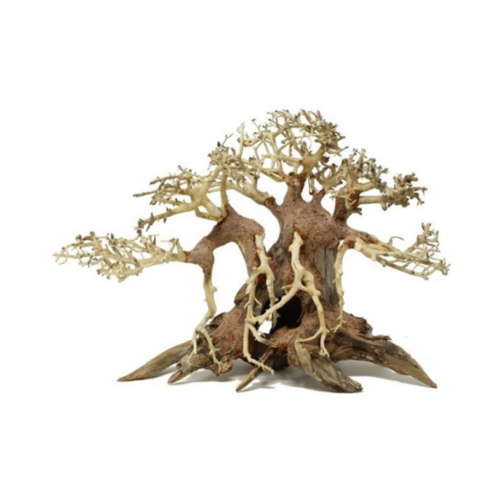 BONSAI DRIFTWOOD