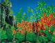 AQUARIUM  BACKGROUND