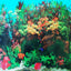 DOUBLE SIDED AQUARIUM  BACKGROUND