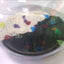 Aquarium Bottom Decorators