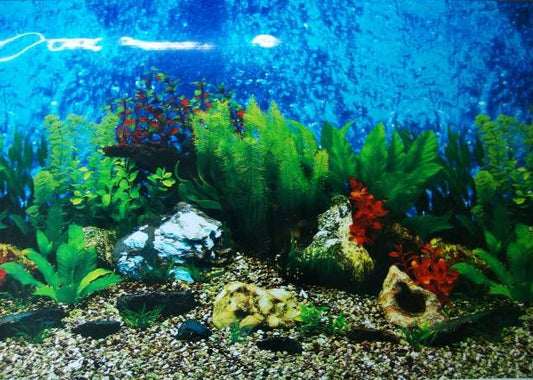 DOUBLE SIDED AQUARIUM  BACKGROUND