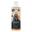 BUGALUGS STINKY DOG SHAMPOO (ODOUR CONTROL)