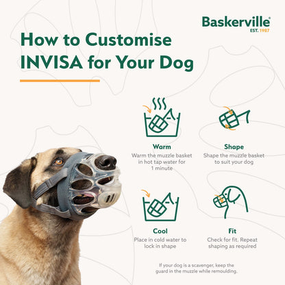 BASKERVILLE INVISA MUZZLE