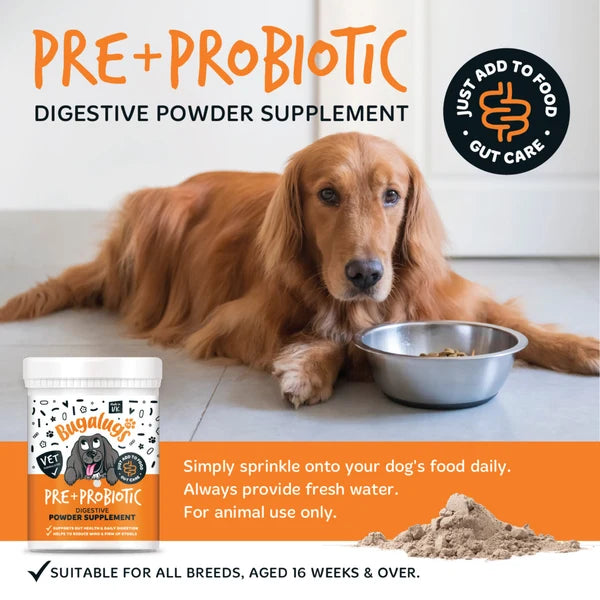 BUGALUGS NATURAL PRE & PROBIOTIC DIGESTIVE SUPPLEMENT