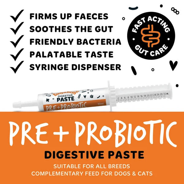 PRE & PROBIOTIC DIGESTIVE PASTE FOR DOGS & CATS 30ML