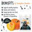 BUGALUGS PUMPKIN POWDER 200G