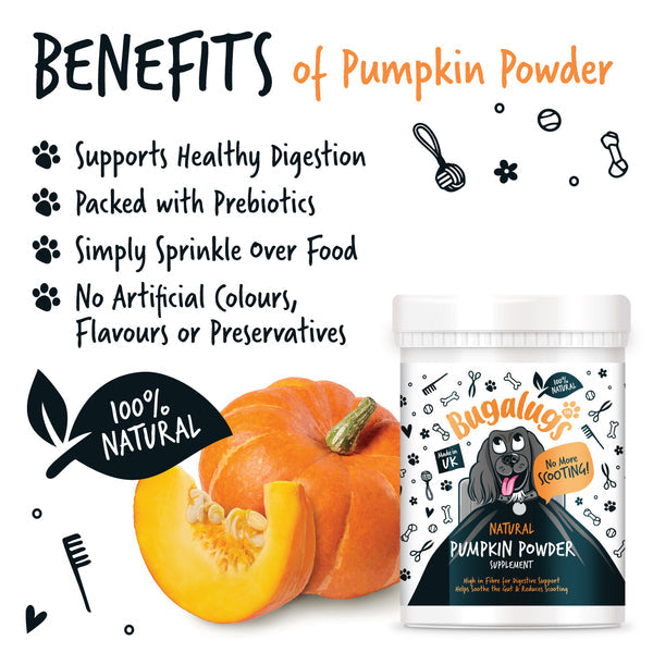 BUGALUGS PUMPKIN POWDER 200G