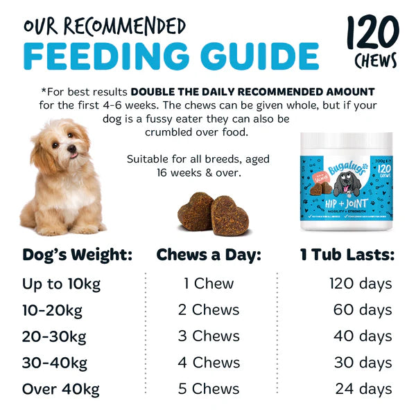 HIP & JOINT SUPPLEMENT CHEWS FOR DOGS 80G 120 CHEWS