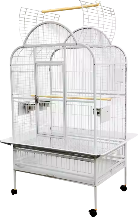 PARROT CAGE - ANTIQUE WHITE
