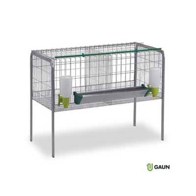 ΚΛΟΥΒΙ ΠΑΧΥΝΗΣ ΔΙΠΛΟ – ΚΟΤΟΠΟΥΛΟ