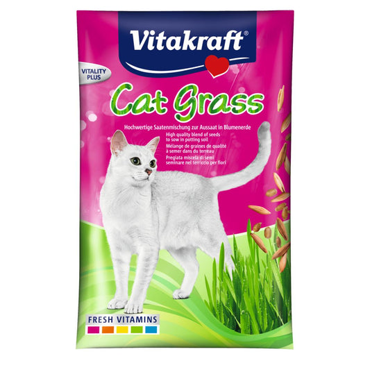 CAT GRASS