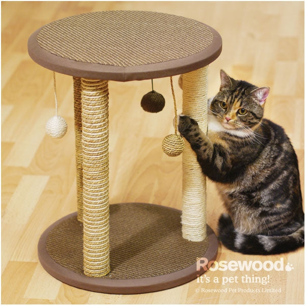 CAT SCRATCHER ZURICH