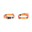 ZIGGI DOG COLLAR XXSMALL