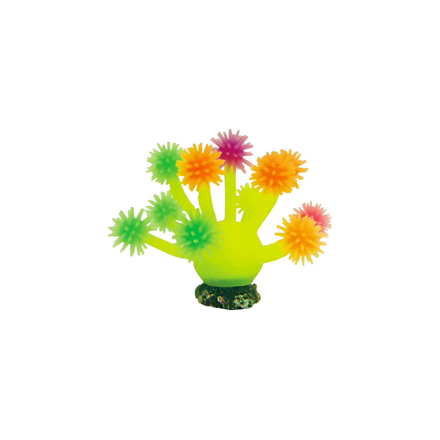COLOUR CORAL, AQUARIUM DECOR