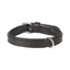 LEATHER PADDED DOG COLLAR ARIZONA BLACK
