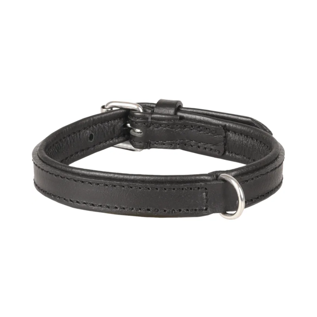 LEATHER PADDED DOG COLLAR ARIZONA BLACK