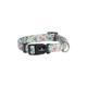 DOG COLLAR SAMAR LIGHT GREEN