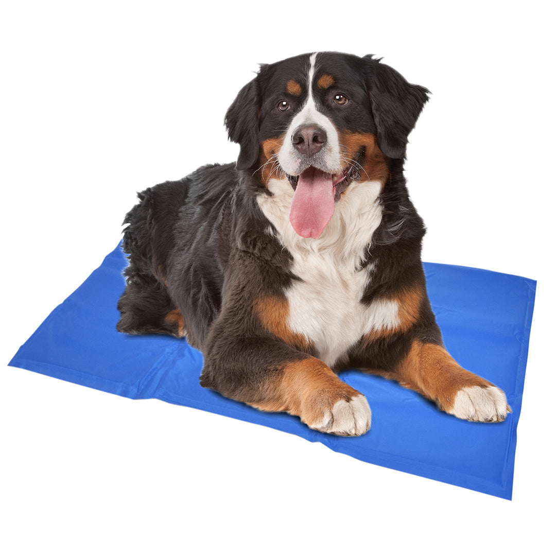 COOLING MAT BLUE
