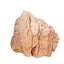 CRUSTED ROCK
