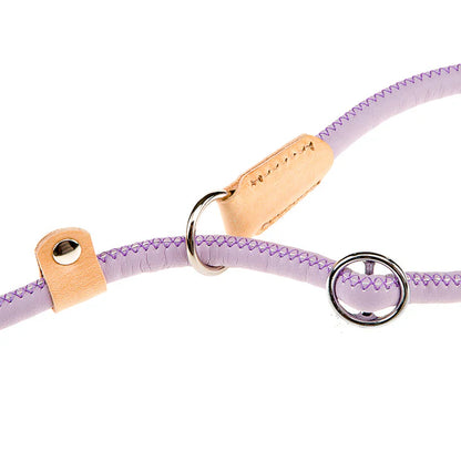 DERBY DOG COLLAR-LEASH PURPLE