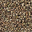 DN HEMPSEED 700G