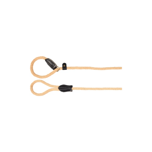 DOG ANTI-PULL LEASH RANGER