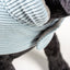 DOG JACKET CORDUROY