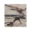 GIANT DRIFT WOOD