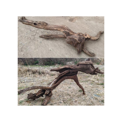 GIANT DRIFT WOOD