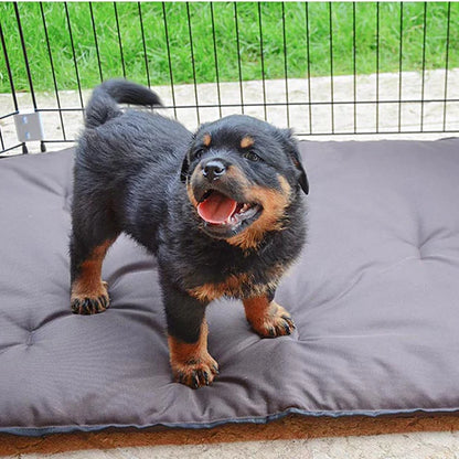 DOG TRAINING CAGE PEN BLUE