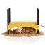 ECO-GLOW SAFETY CHICK BROODER