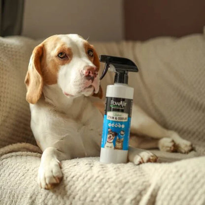 URINE STAIN & ODOUR SPRAY