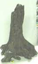 DECOR TREE ROOT SM