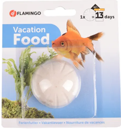 VACATION FOOD