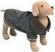 DOG COAT DARWIN 30cm