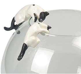 CATS FOR BORDER OF FISH GLASS