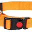 ZIGGI DOG COLLAR 45-65cm / 25mm