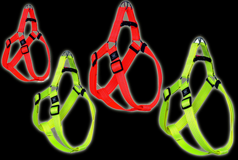 ART SPORTIV PLUS HARNESS REFLEX