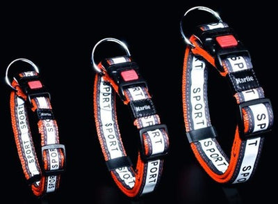 ART JOY PLUS D&N COLLAR ORANGE